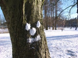 snow-tree-image