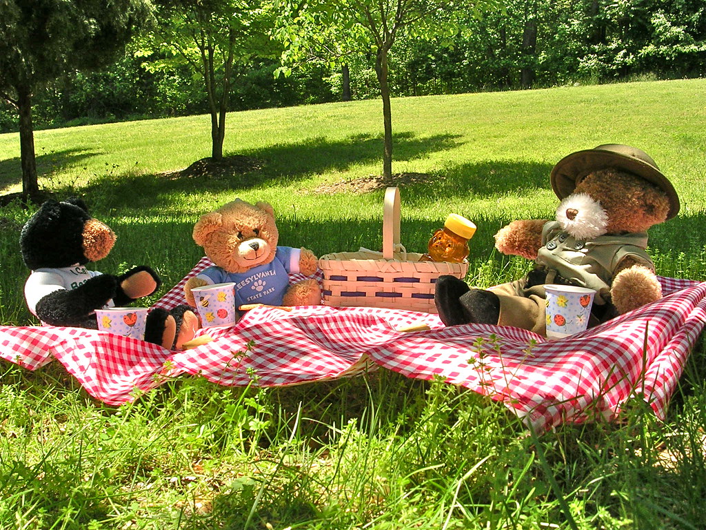 Picnic